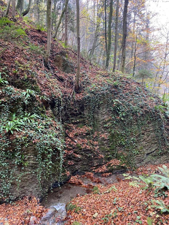 Gaestehaus Schmid Sankt Johann im Saggautal Esterno foto