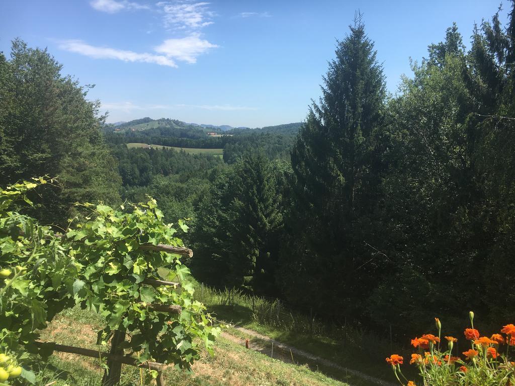 Gaestehaus Schmid Sankt Johann im Saggautal Esterno foto