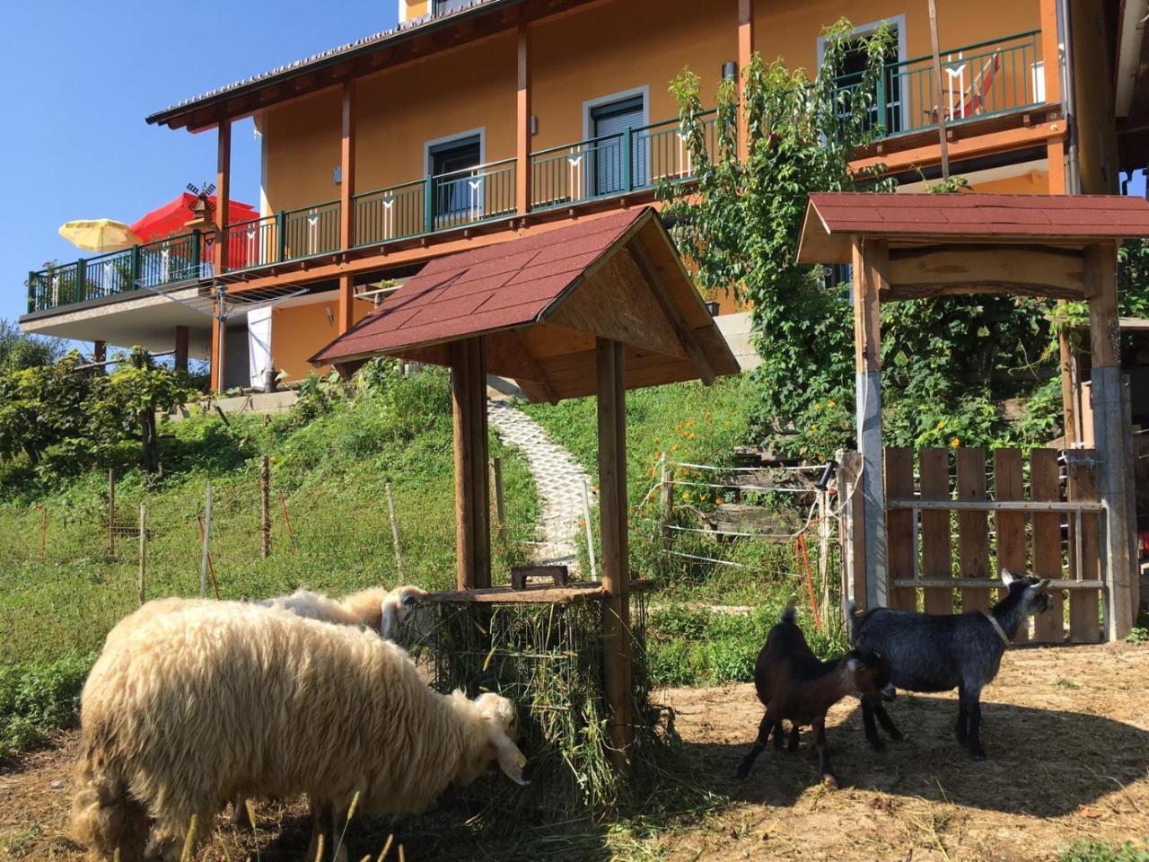 Gaestehaus Schmid Sankt Johann im Saggautal Esterno foto